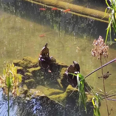 Modern W Pool Views